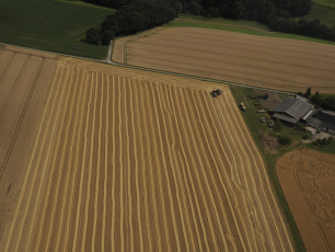 26 Bauer Terjung, Bollenberg